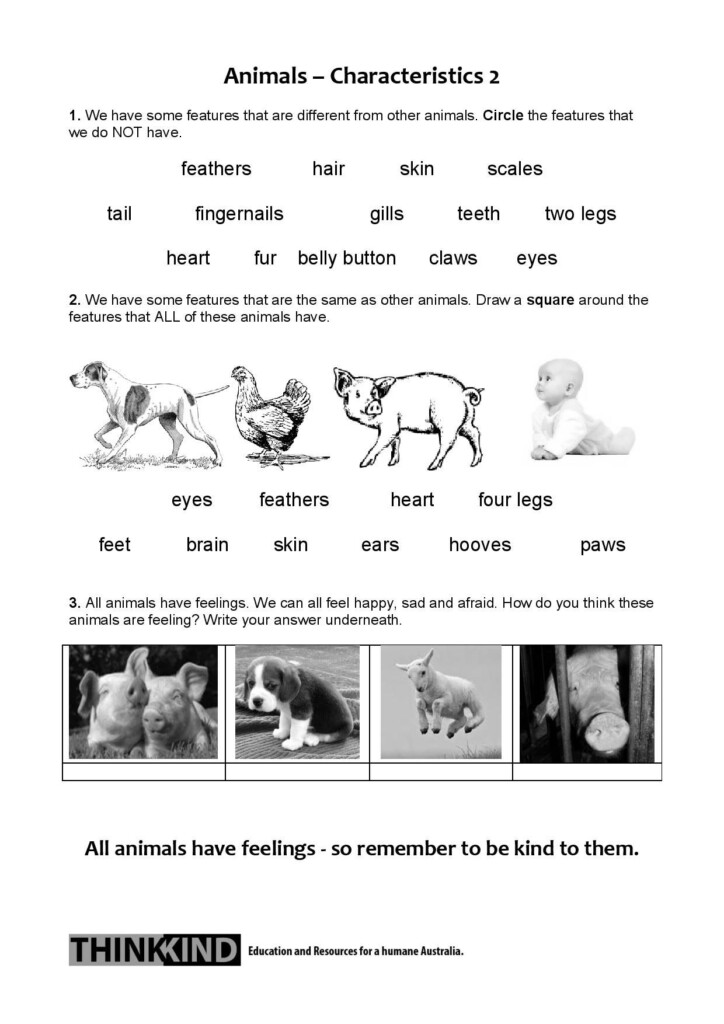 Baby Alive School Worksheets Printables Tedy Printable Activities