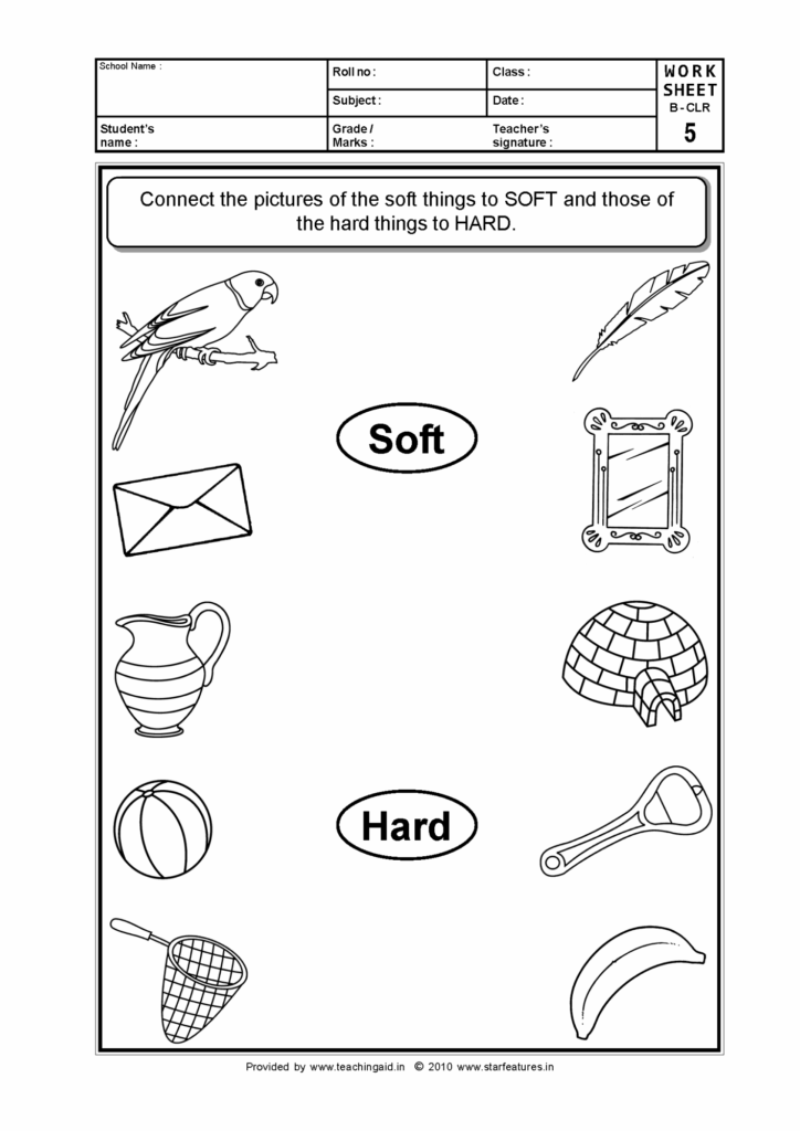 Basic Concepts Worksheets Printable