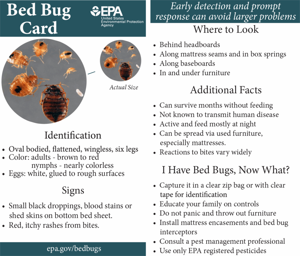 Bed Bug Resources Charles County Department Of Health