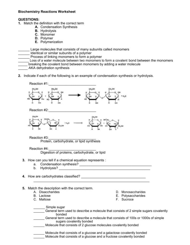 Biochemistry Reactions Worksheet Condensation Hydrolysis