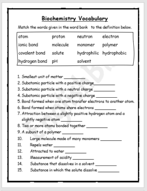 Biochemistry Vocabulary Worksheet EnglishBix