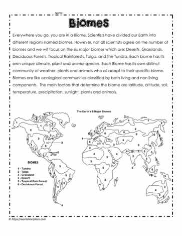 Biome Worksheet Biome Facts Worksheets For Kids