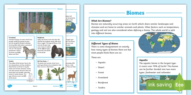 Biomes Fact File biomes teacher Made 