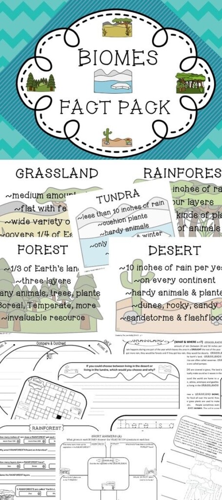 BIOMES HABITATS Fact Pack Informational Text Passages Writing Posters 