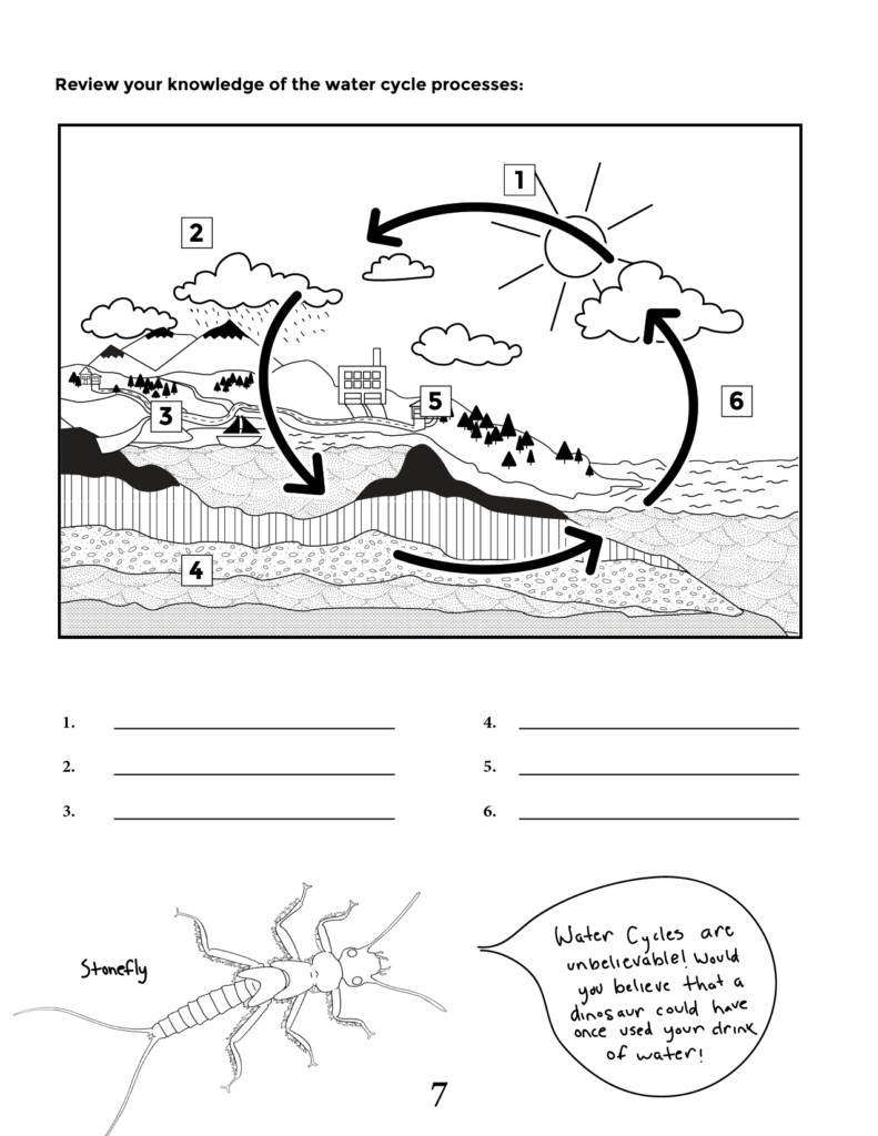 Blank Diagram Of Water Cycle
