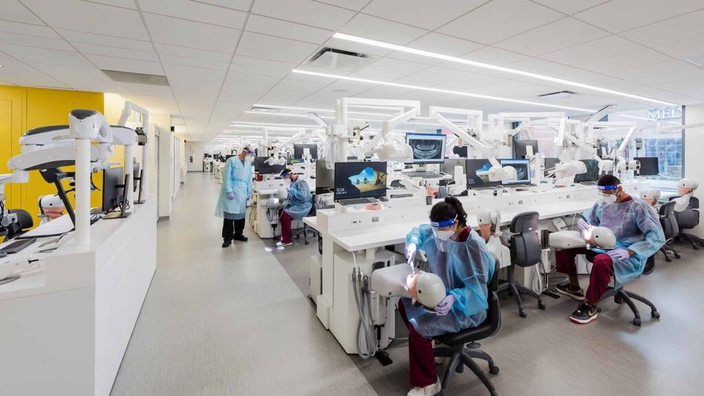 Boston University Dental School Requirements CollegeLearners