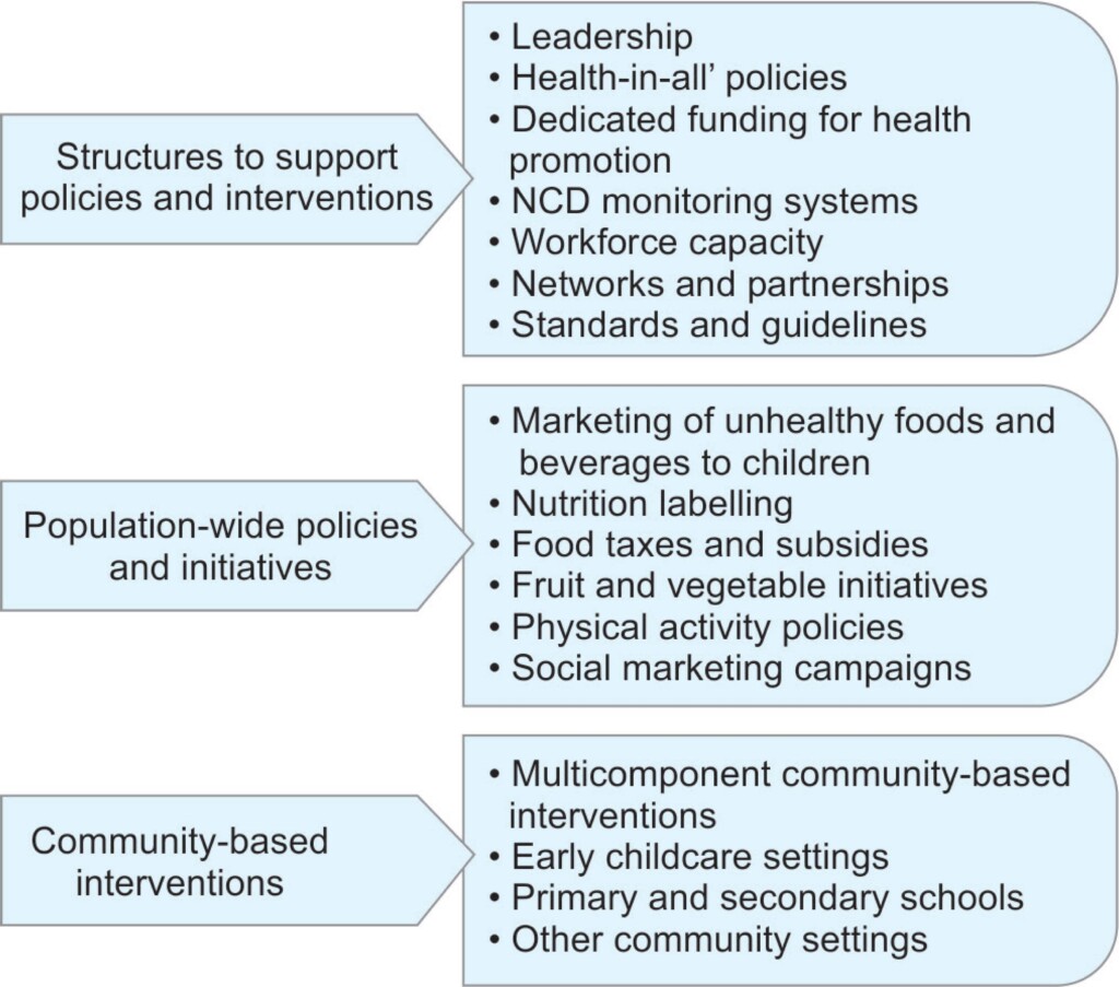 Childhood Obesity Prevention In Schools