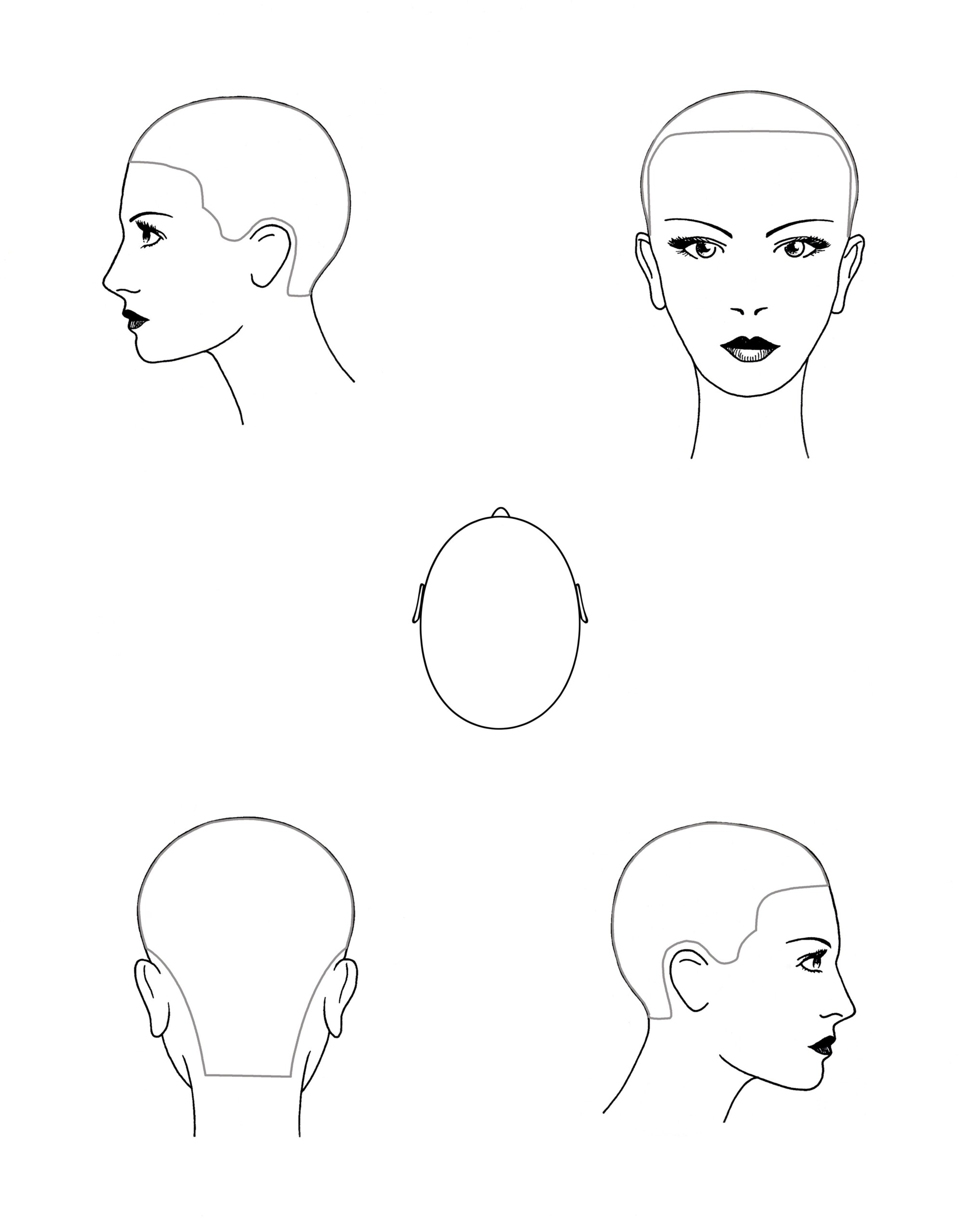 Cosmetology Head Diagram