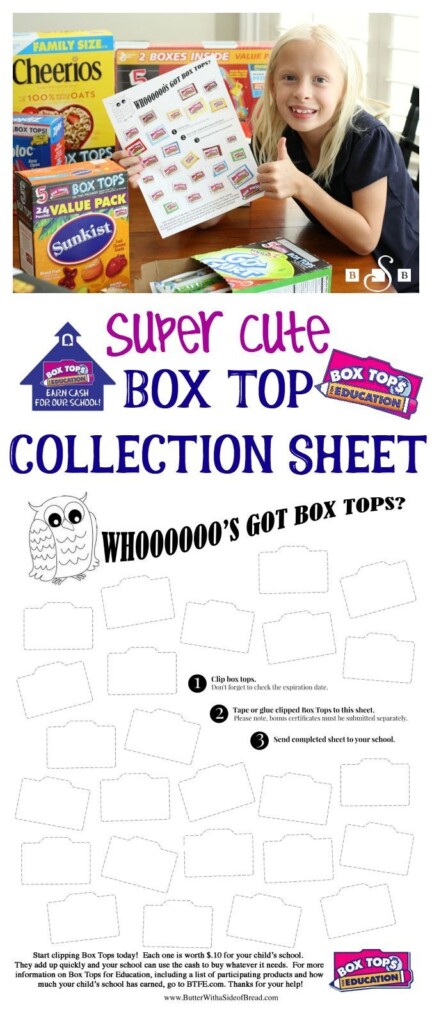 Cute Owl Box Tops For Education Collection Sheet Artofit