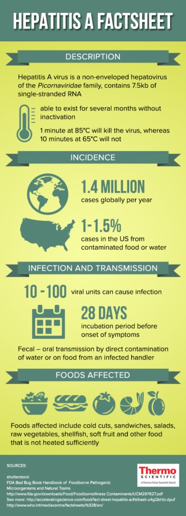 Fact Sheet Hepatitis A