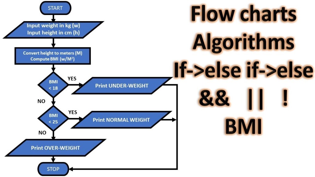 Flowchart For Calculating Bmi