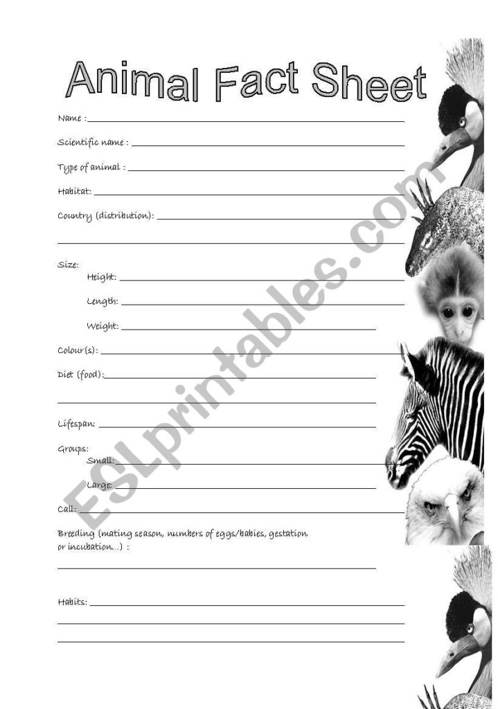 Free Printable Animal Fact Sheets FREE PRINTABLE TEMPLATES