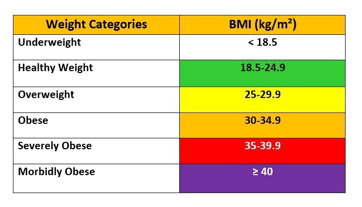 How BMI Is Calculated BMI Calculator BMI Ranges Nurses Class
