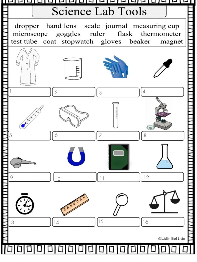 Middle School Science Printable Worksheets Printable Worksheets