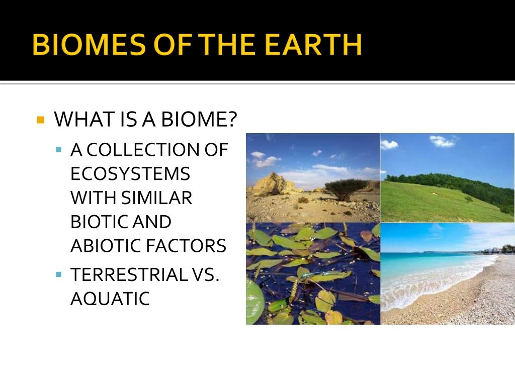 PPT BIOMES OF THE EARTH PowerPoint Presentation Free Download ID 