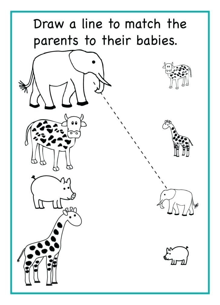 Preschool Worksheets Best Coloring Pages For Kids