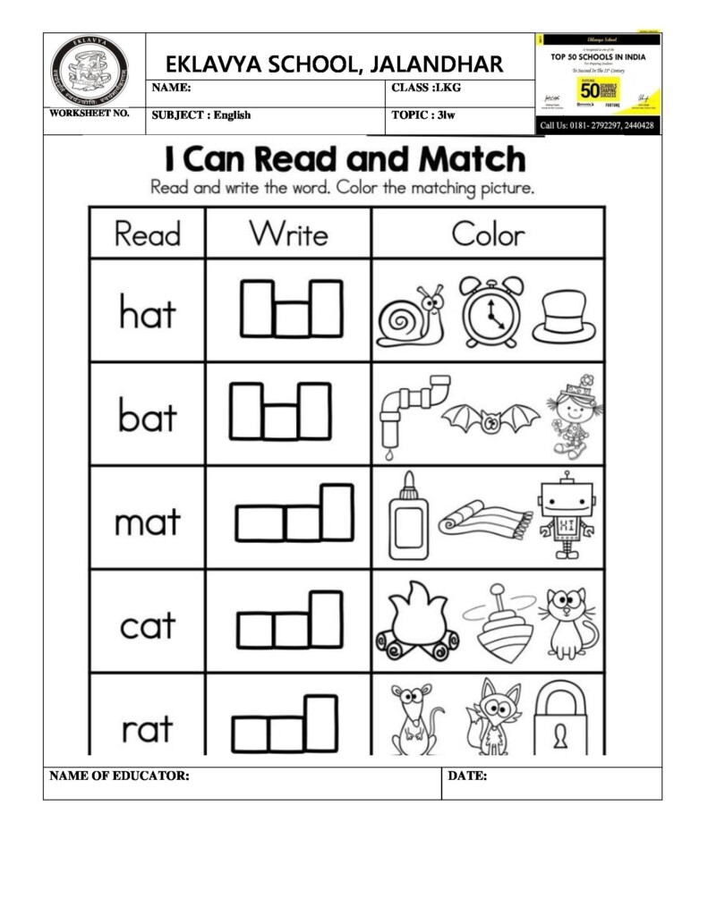 Primary Worksheets Free Printables