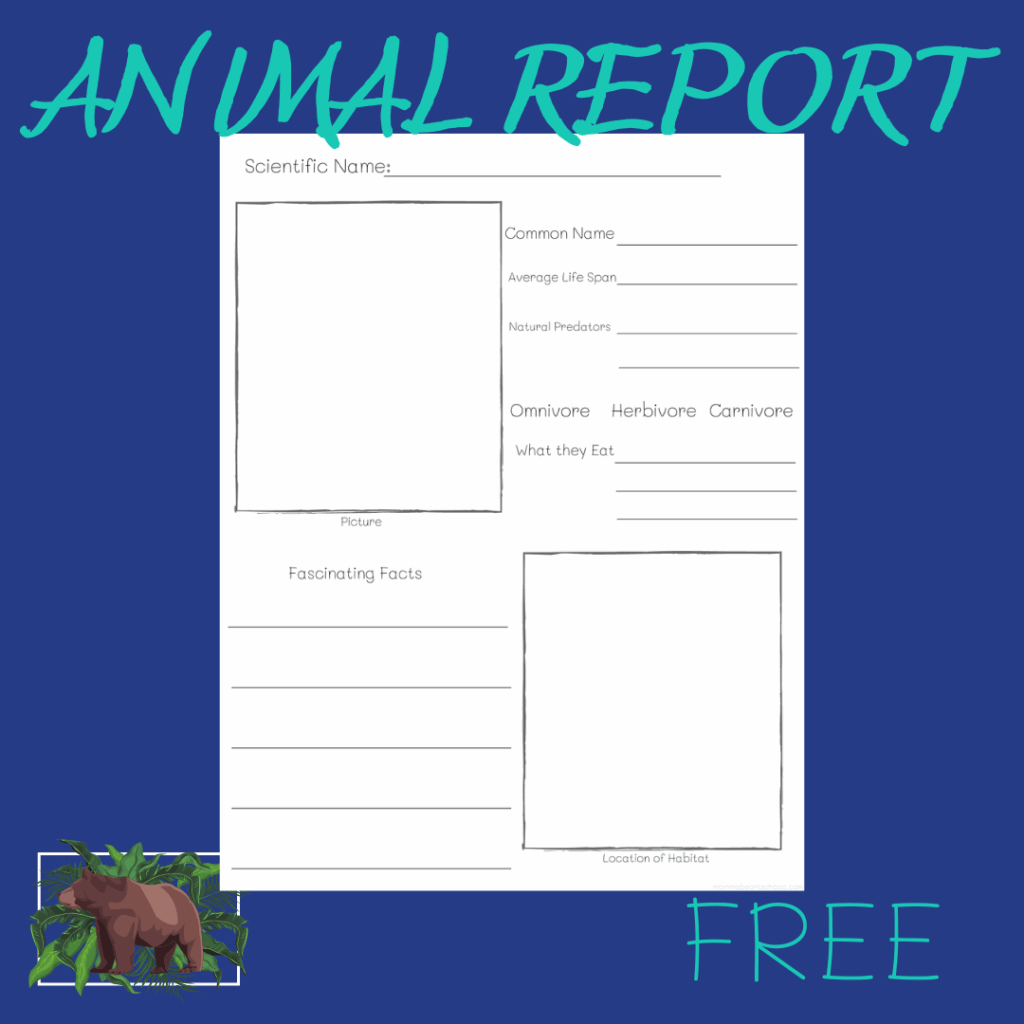 Printable Animal Fact Sheet Template