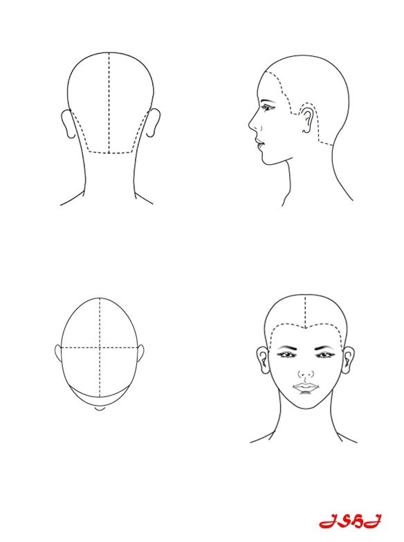 Printable Blank Head Sheets For Hairdressing