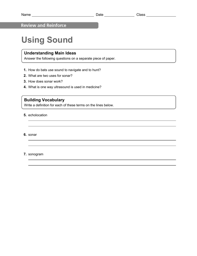Using Sound Echolocation Sonar Ultrasound Worksheet