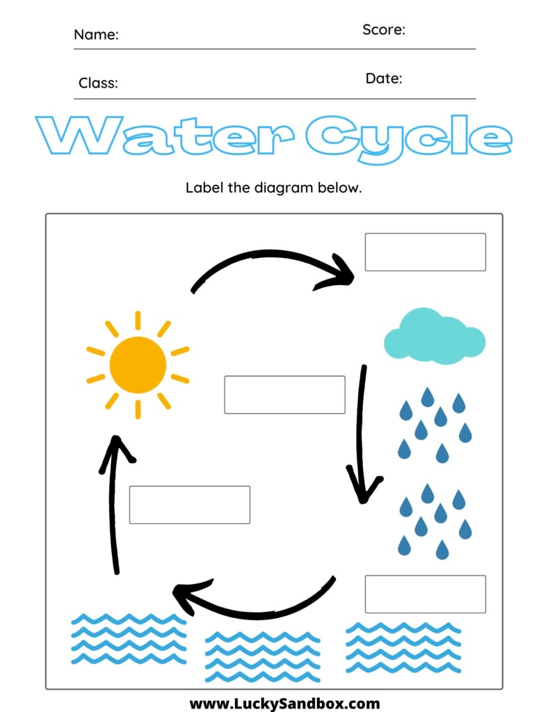 Water Cycle Worksheet